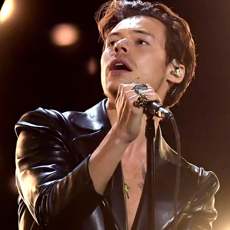 Harry Styles lanza una nueva versión de su canción ‘Banana’ que enloquece a su público