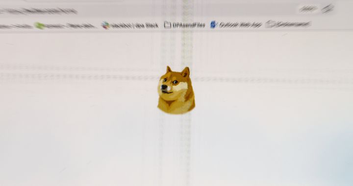 Here is the Dogecoin dog, the animal that replaces the Twitter bird