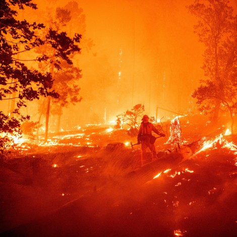 Seis de cada diez incendios, culpa de las negligencias